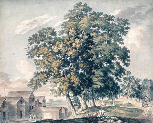 Original title:  Toronto in Upper Canada. View in Toronto, 1837/Two blocks from the Market/looking west/Painted by James Hamilton. 
This image is available from Library and Archives Canada under the reproduction reference number C-040302.